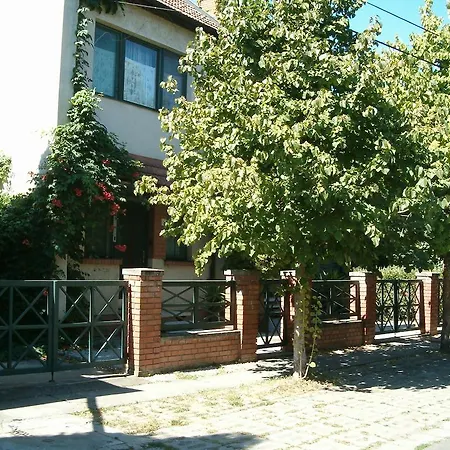 Πανσιόν Platan Vendeghaz Gyula